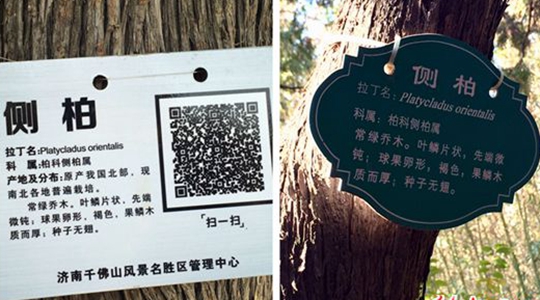 二维码标牌,树牌—二维码印刷与制作