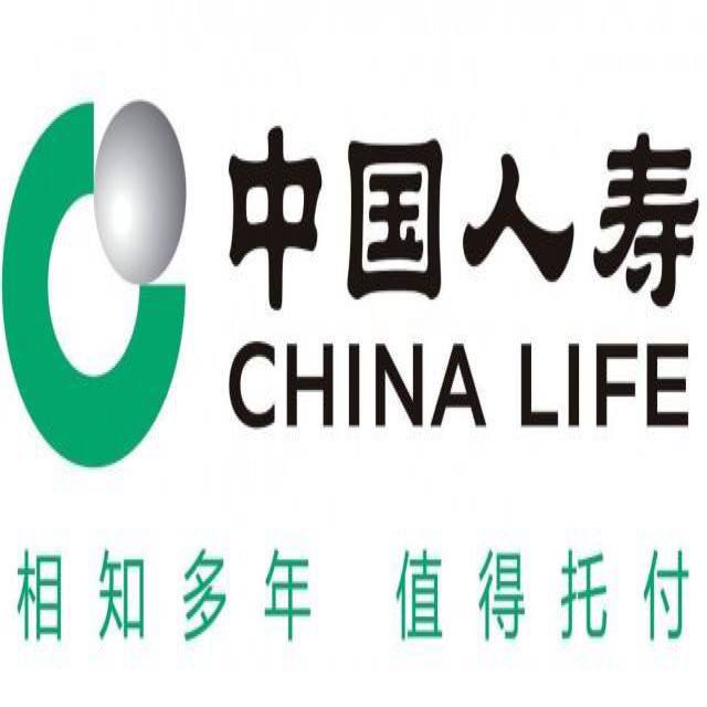 中国人寿logo设计理念图片