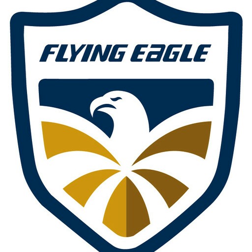 飞鹰轮滑logo图片