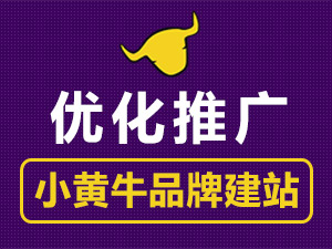 营销网站建设/网站<em>优化</em>/SEO<em>优化</em>推广/<em>关键词</em><em>优化</em>排名【小黄牛品牌营销推广】