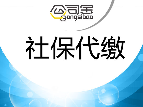 雲市場 api市場 金融理財 社保代繳是指代理公司為企業或個人提供